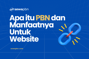 Apa Itu PBN dan Manfaatnya untuk Meningkatkan Trafik Website